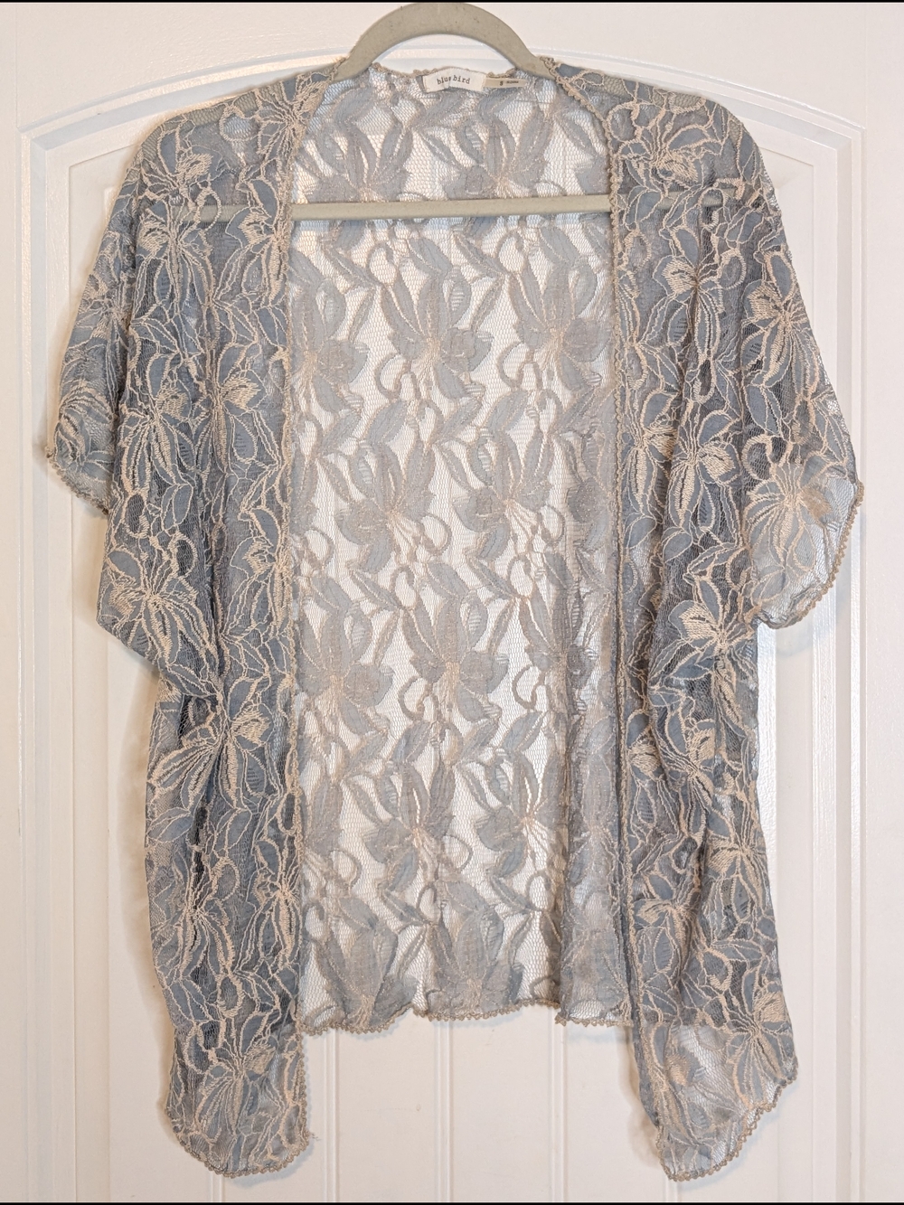 Blue Bird Light Blue and Cream Floral Sheer Mesh Lace Shrug Cardigan